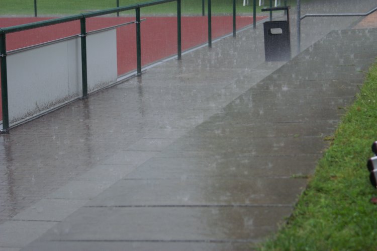 2009/10Regen/03F0021.jpg